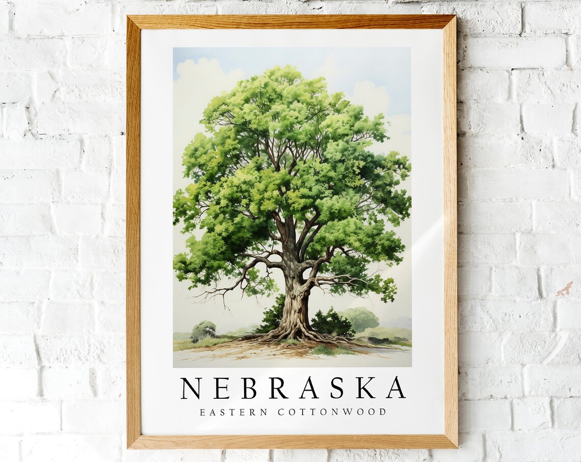 Nebraska Eastern Cottonwood State Tree Summer Canopy Botanical Art Print
