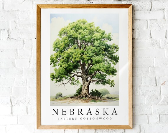 Nebraska Eastern Cottonwood State Tree Summer Canopy Botanical Art Print