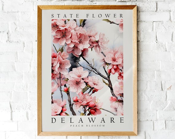 Delaware State Flower Peach Blossom Spring Floral Art Poster