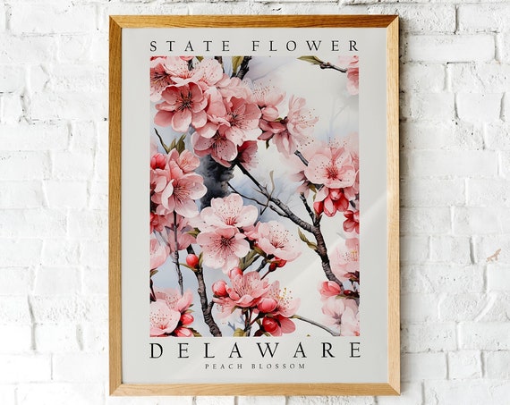 Peach Blossom The State Flower Of Delaware Poster Print Wall Dcor