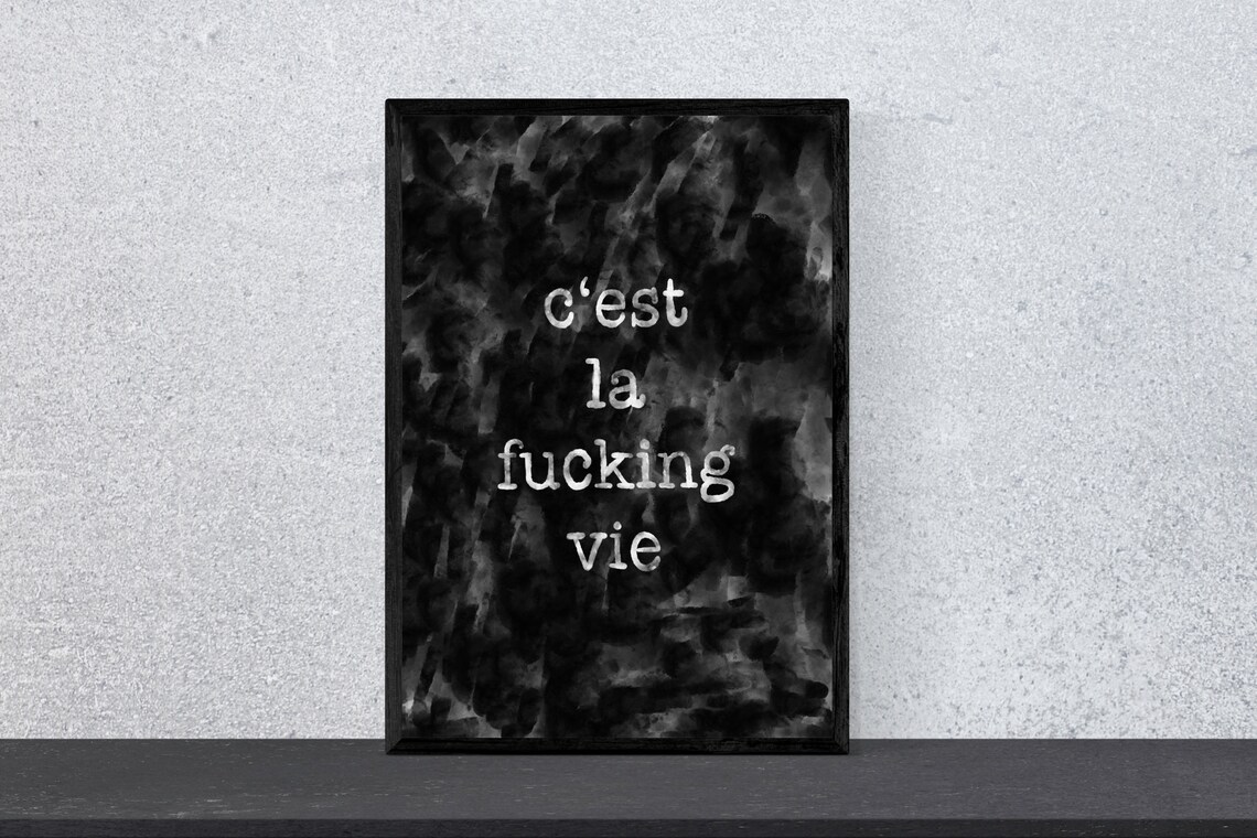 Cest La Fucking Vie French Quote Dark Edgy Grunge Art Poster