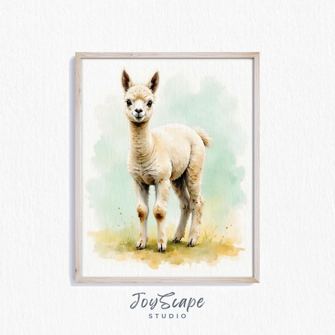Baby Alpaca Cria Watercolor Nursery Animal Portrait Rustic Farmhouse Decor Poster