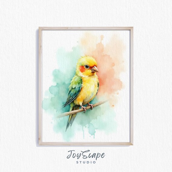 Baby Parrot Watercolor Cute Nursery Bird Painting Kids Room Poster