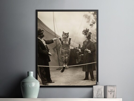 Vintage Cat Walking a Tightrope Circus Act Sepia Photo Wall Art