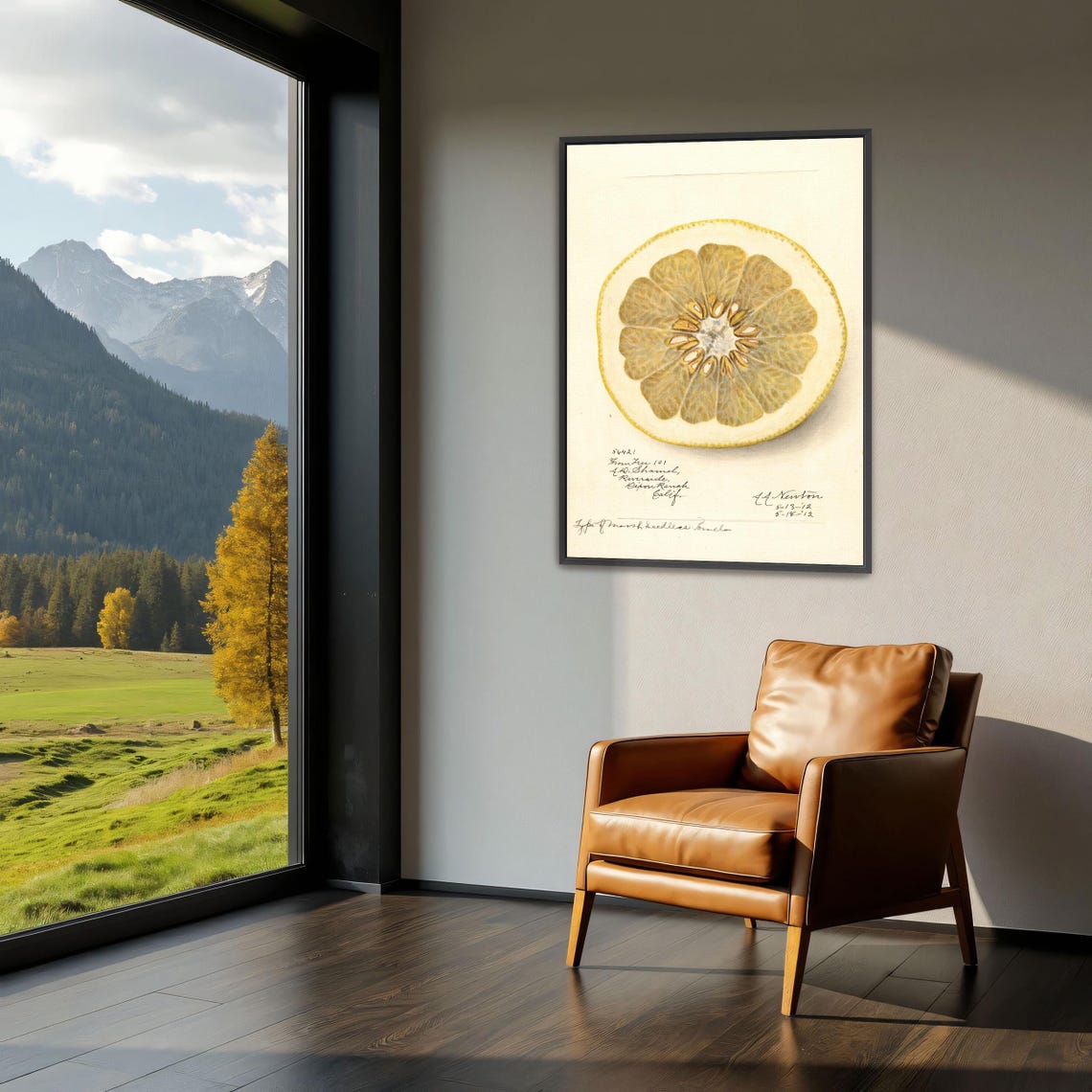 Citrus Fruit Cross Section Vintage Pomelo Slice Botanical Art Poster - Image 3