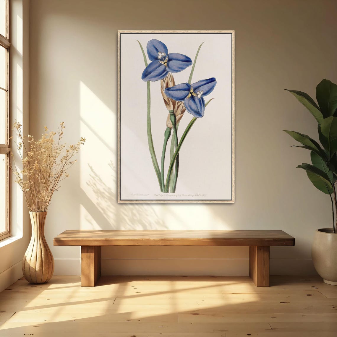 Blue Star Shaped Blossoms Antique Botanical Illustration Art Poster - Image 4