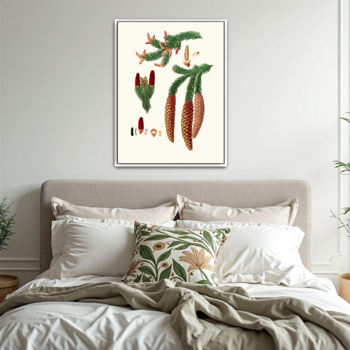 Norway Spruce Branches with Pinecones Botanical Illustration Poster - Image 3