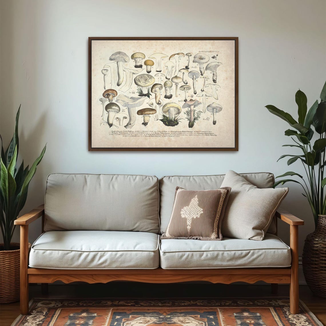Vintage Mushroom Identification Chart Botanical Illustration Poster - Image 6
