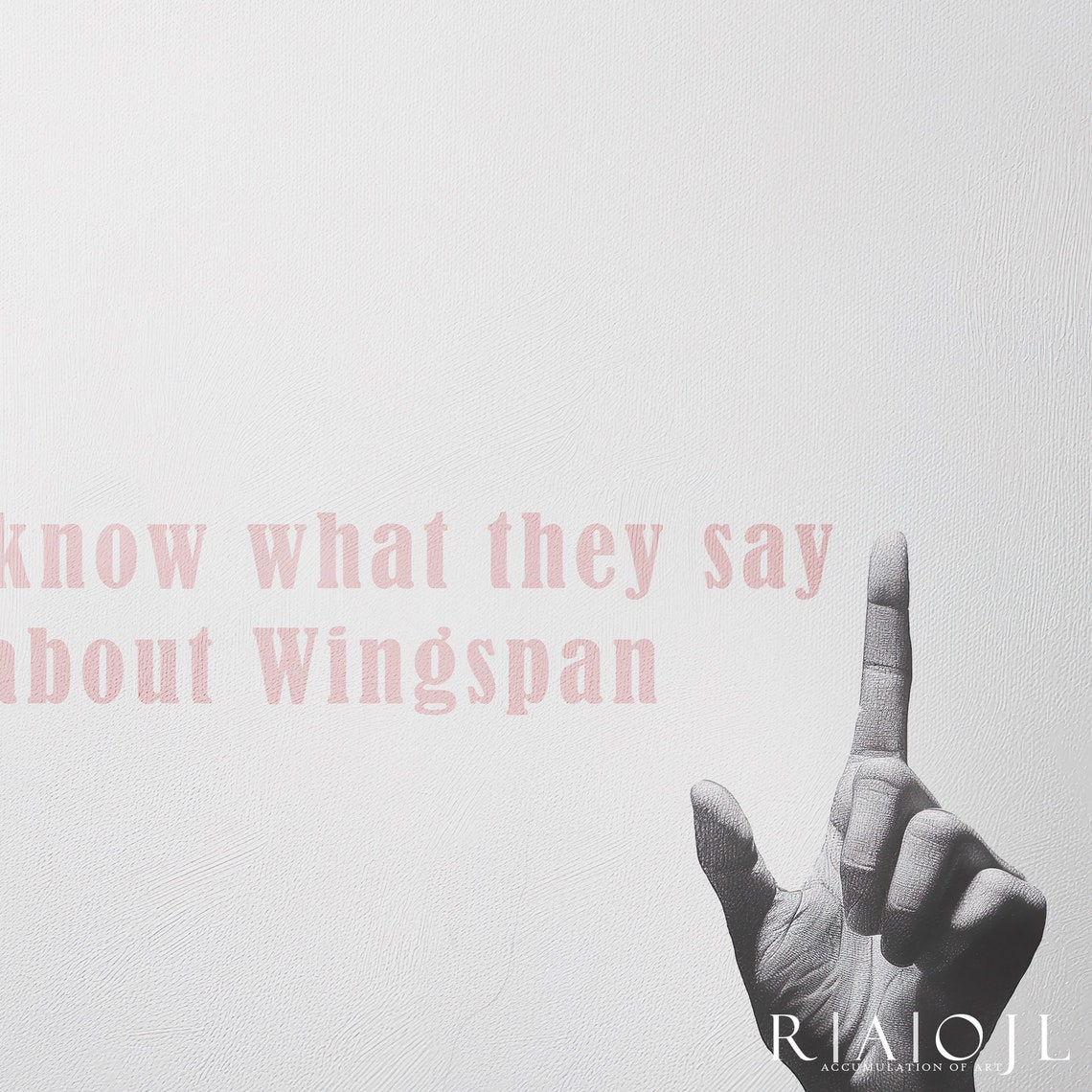 You Know What They Say About Wingspan Cheeky Book Quote Poster - Image 4