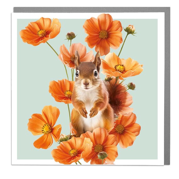 Red Squirrel and Cosmos by Lola Design