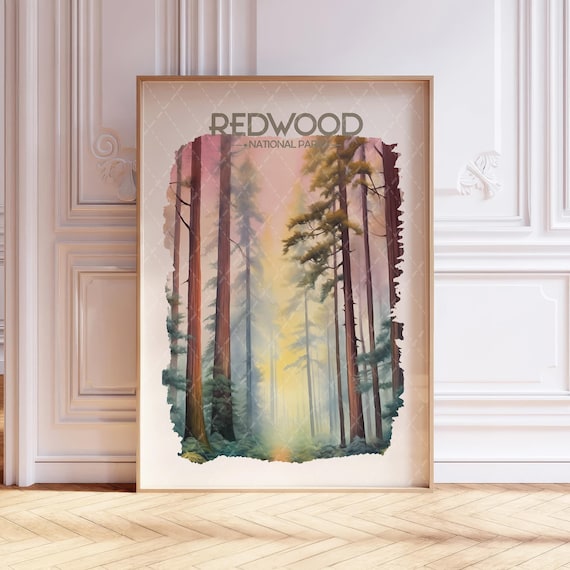 Redwood National Park Tall Ancient Trees Watercolor Forest Poster