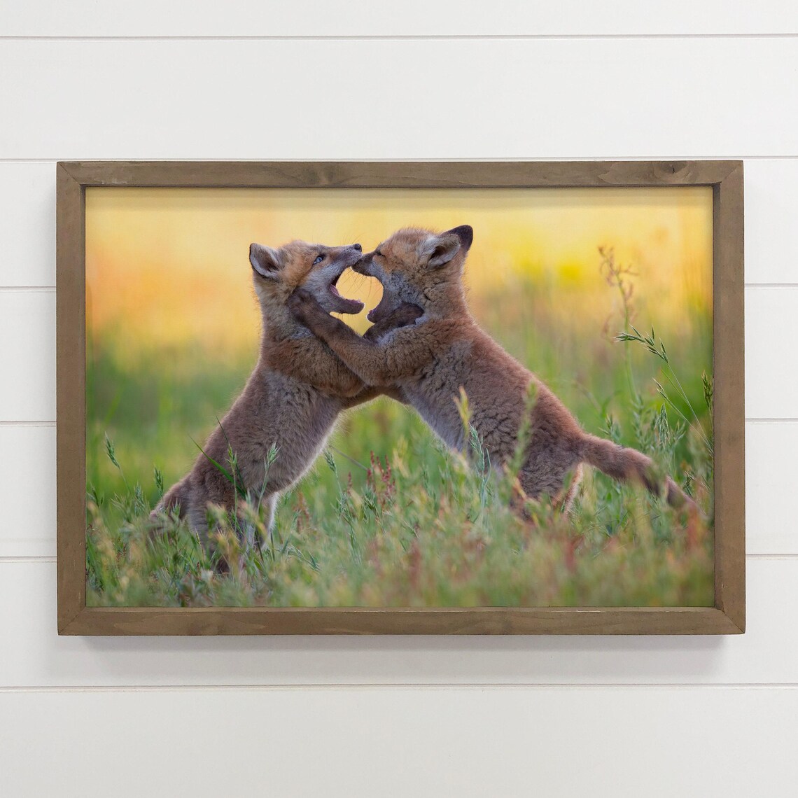 Playful Fox Kits Play Fighting in a Meadow Wildlife Photography Poster
