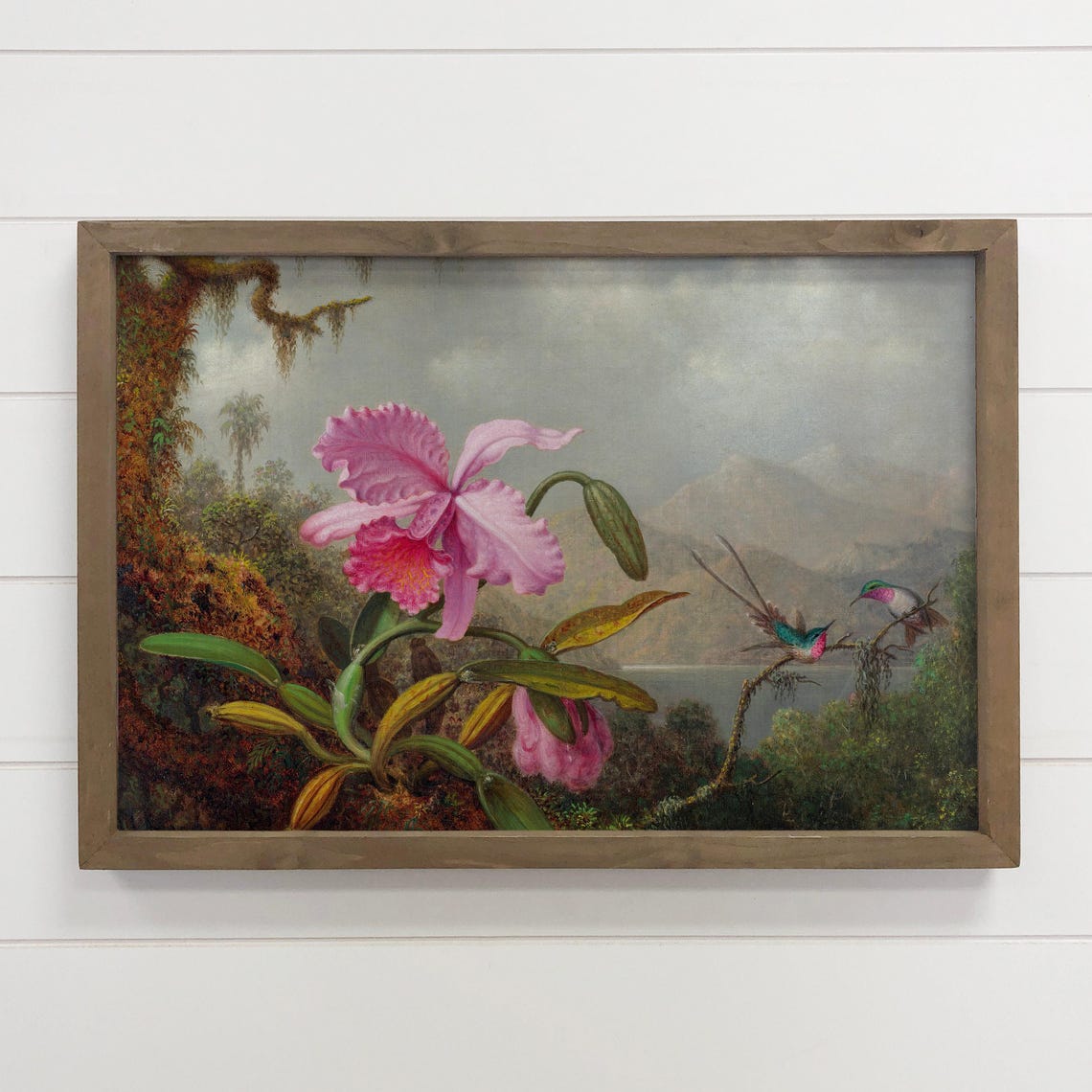 Pink Orchid And Hummingbird Vintage Tropical Botanical Painting Poster
