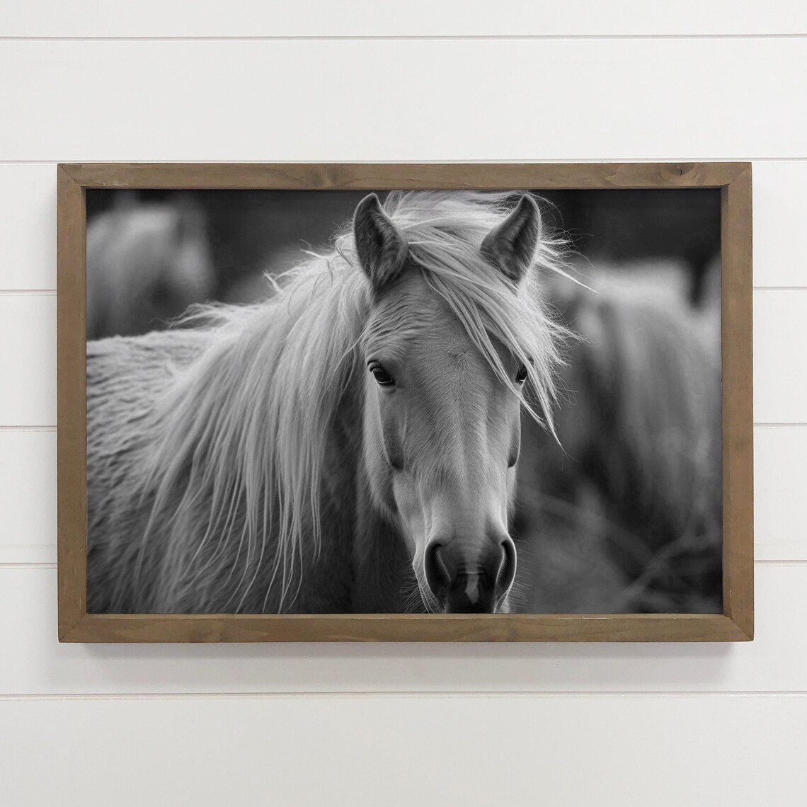 White Horse Portrait Black and White Animal Photo Art Poster