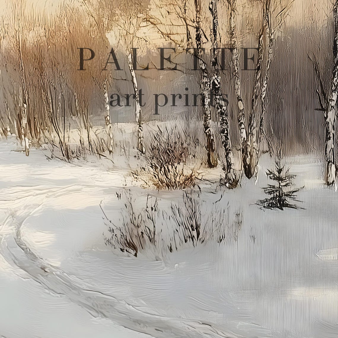 Snowy Forest Road Between Pines And Birches At Sunrise Poster - Image 2