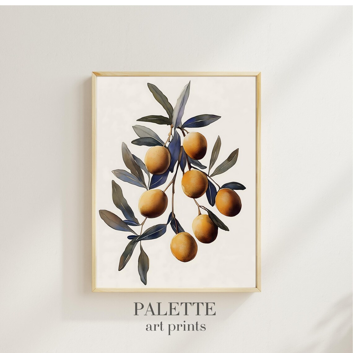 Minimalist Olive Branch Illustration, Art Print