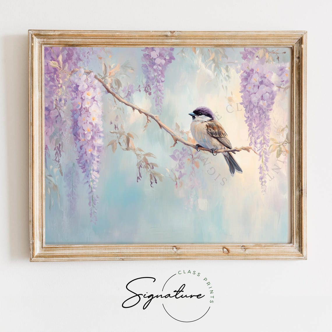 Sparrow On Branch With Hanging Wisteria Blossom Clusters Poster