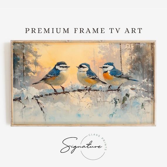 Nuthatch Trio On Snowy Branch At Golden Sunset Winter Bird Art Poster