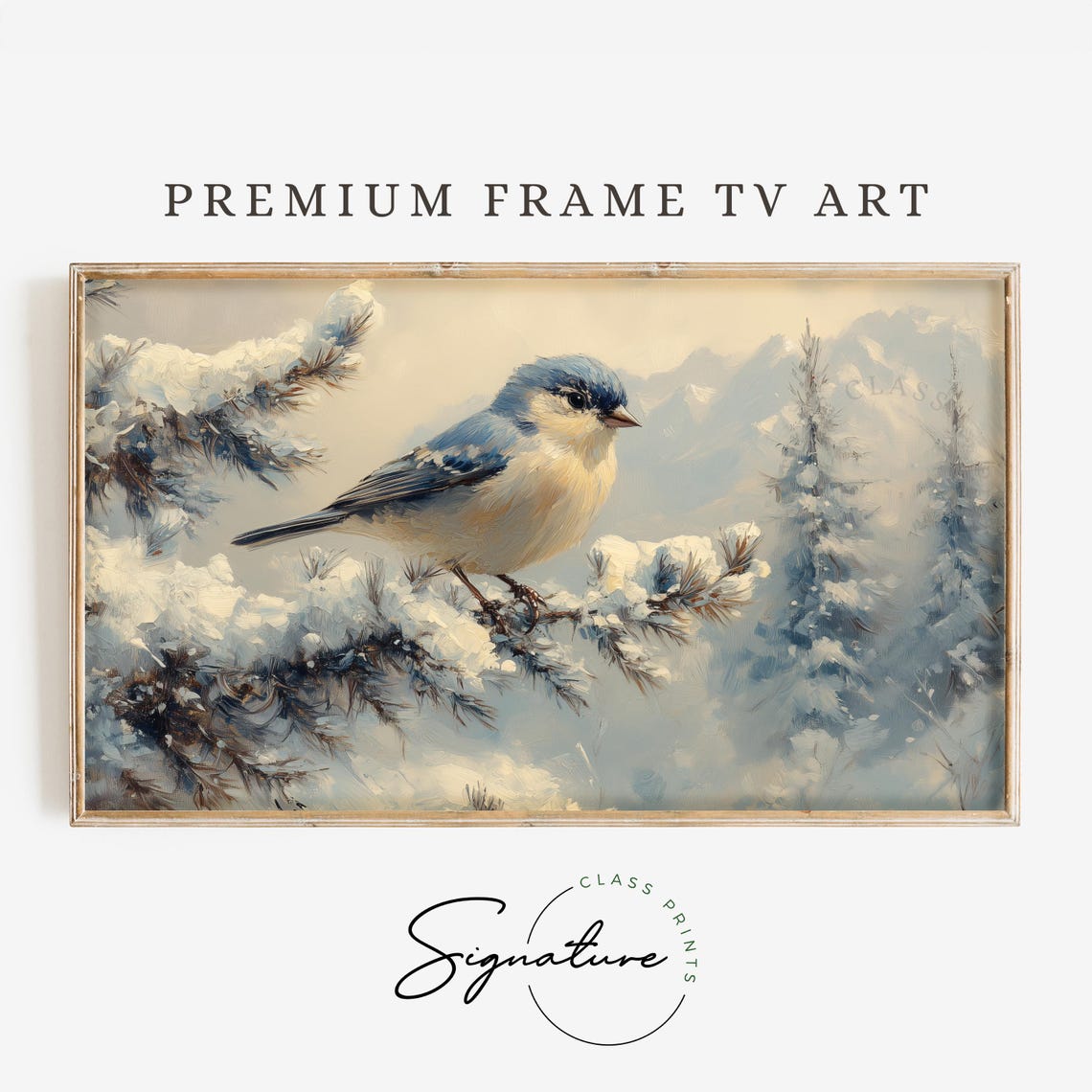 Bluebird On Snowy Pine Branch Winter Forest Mountains Poster