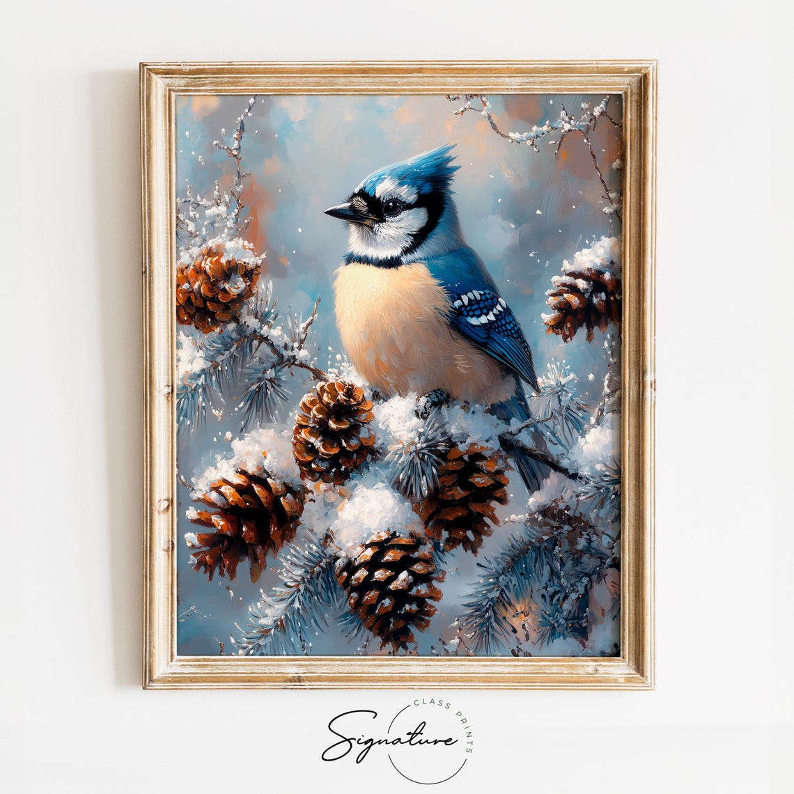 Blue Jay Among Snow Dusted Pinecones Winter Bird Painting Poster