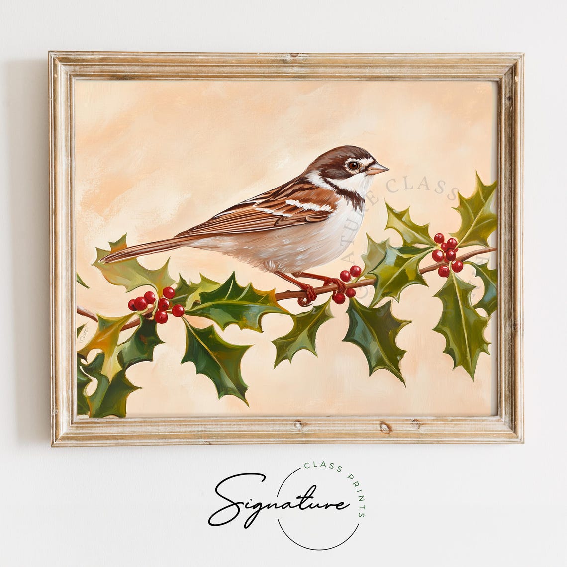 White Throated Sparrow on Holly Branch Berries Bird Art Poster
