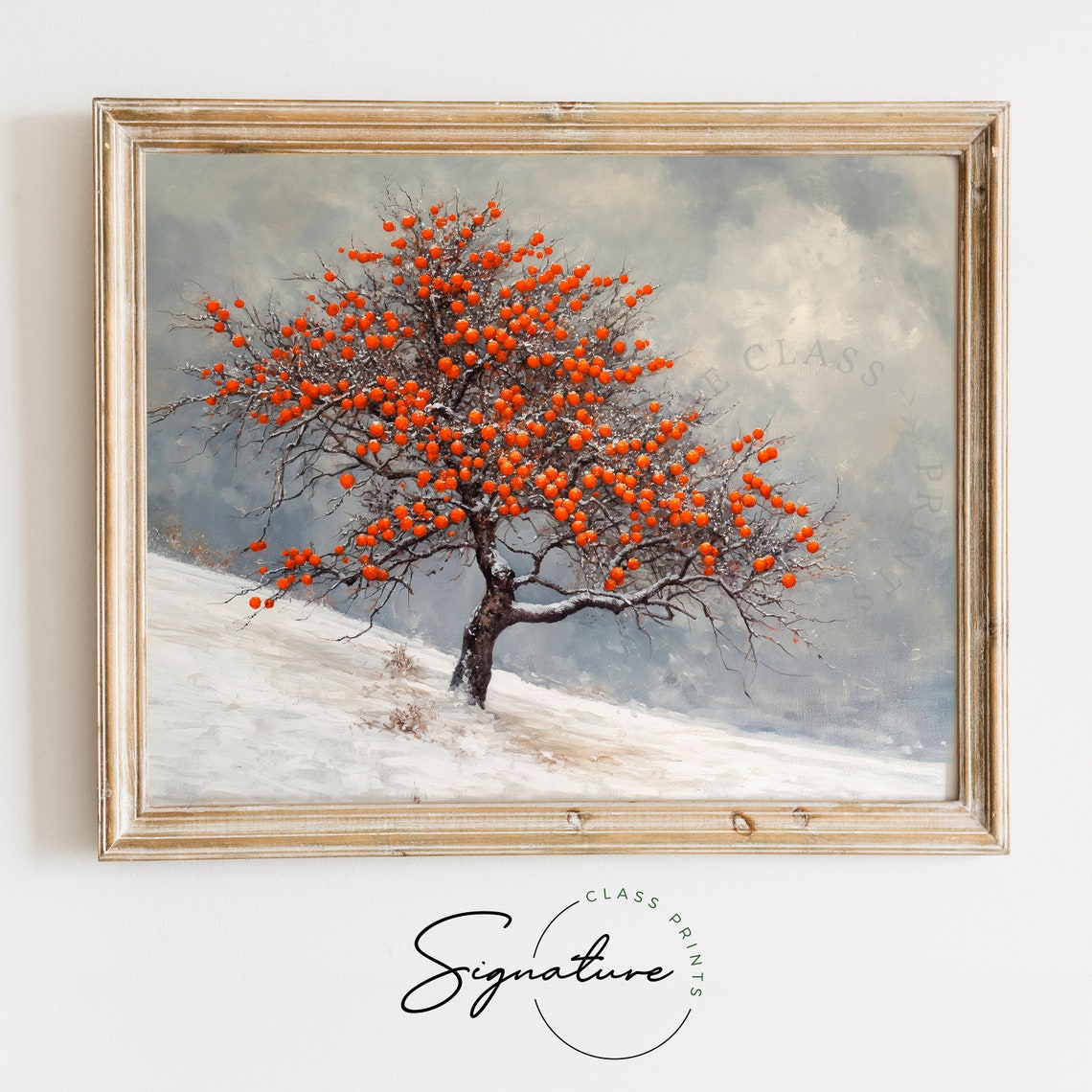 Persimmon Tree Laden With Orange Fruit On Snowy Slope Poster