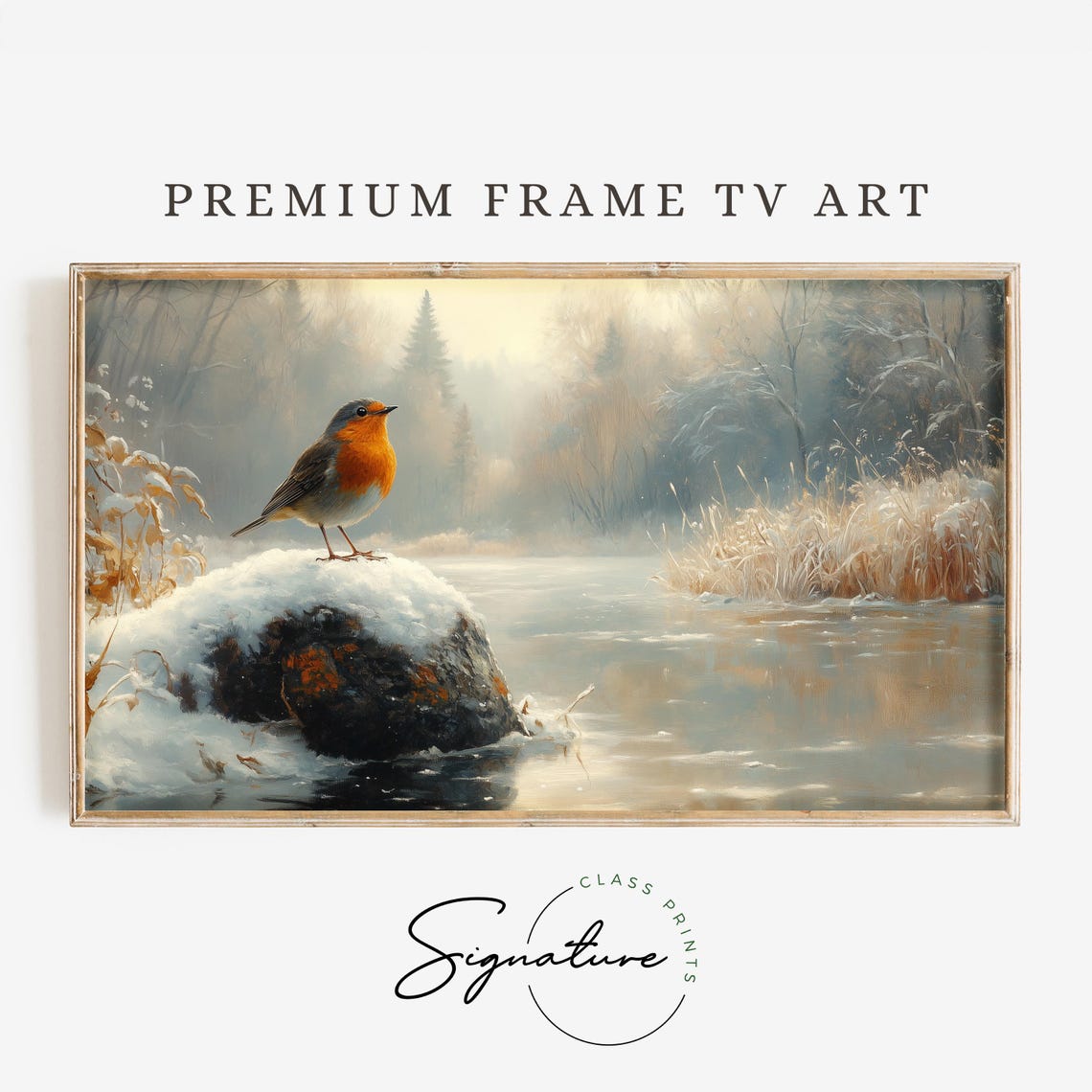 Robin on Snow Covered Rock by Winter Stream Woodland Bird Art Poster