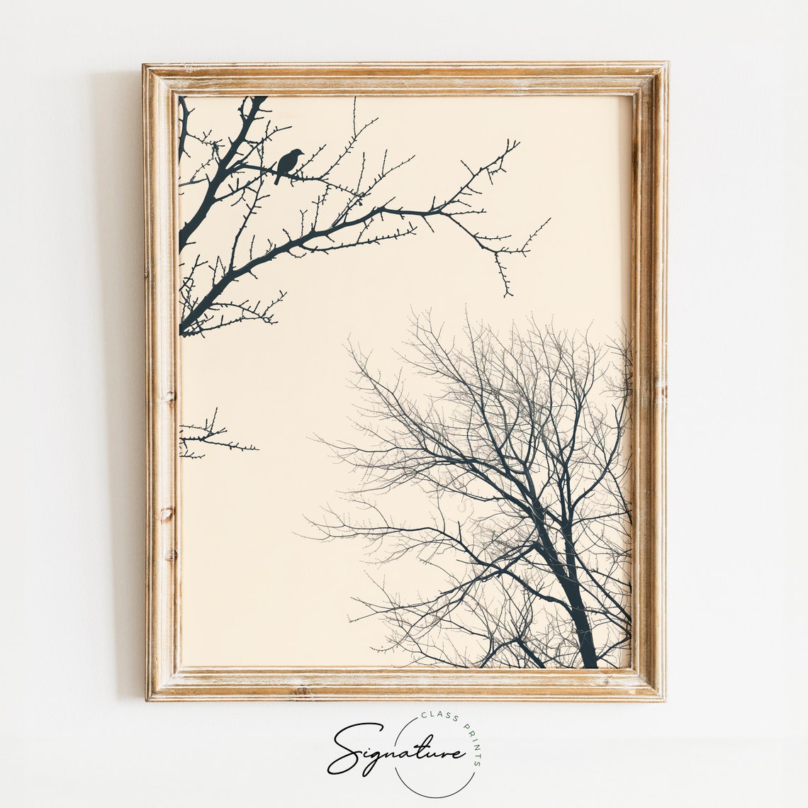 Quiet Winter Bird On Bare Branches Cream Sky Sketch Nature Poster