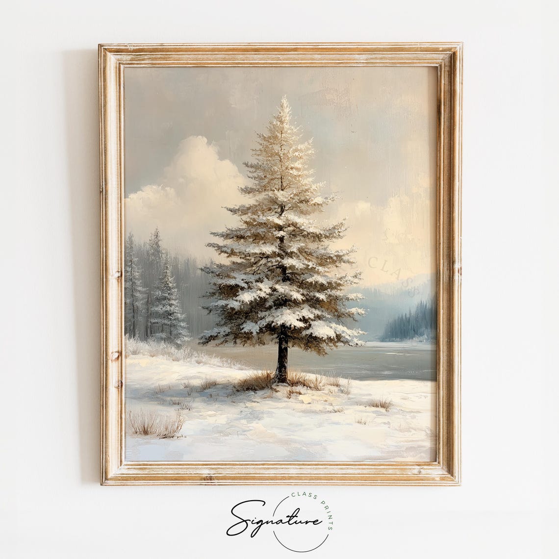 Single Snowy Pine Tree by Frozen Lake Shore Winter Morning Poster