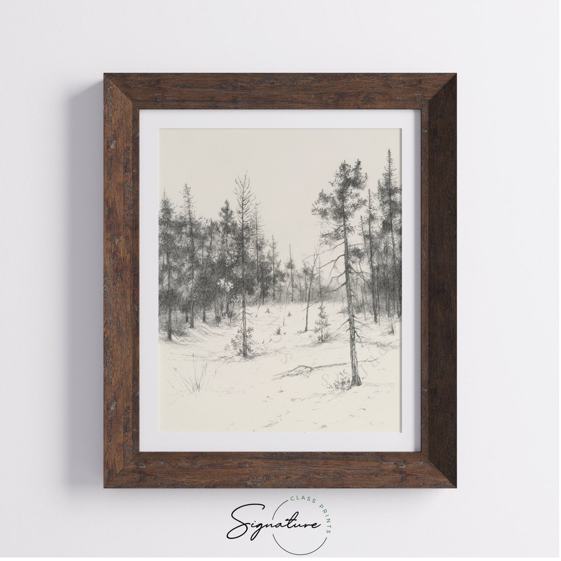 Quiet Sparse Pine Trees In Snowy Winter Forest Sketch Poster Art - Image 4