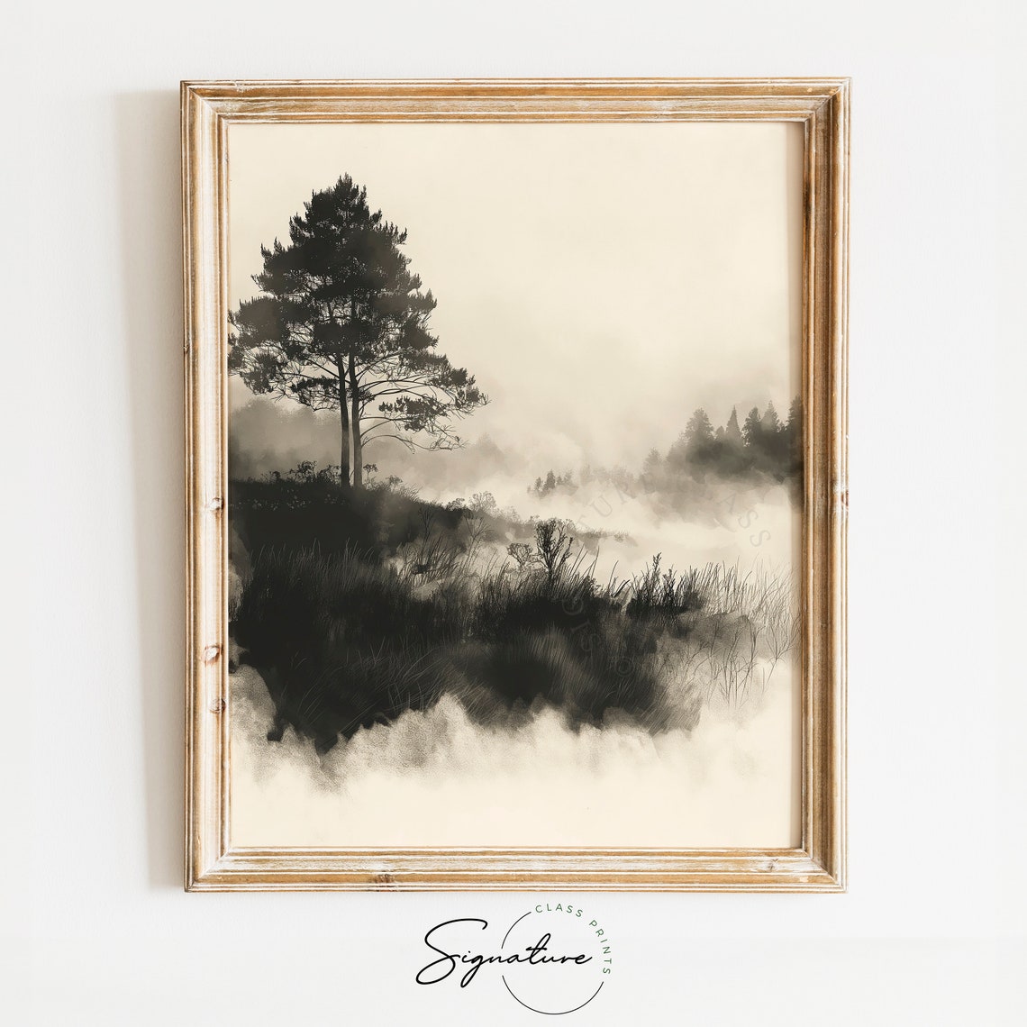 Lone Pine Tree In Morning Haze Misty Meadow Monochrome Poster