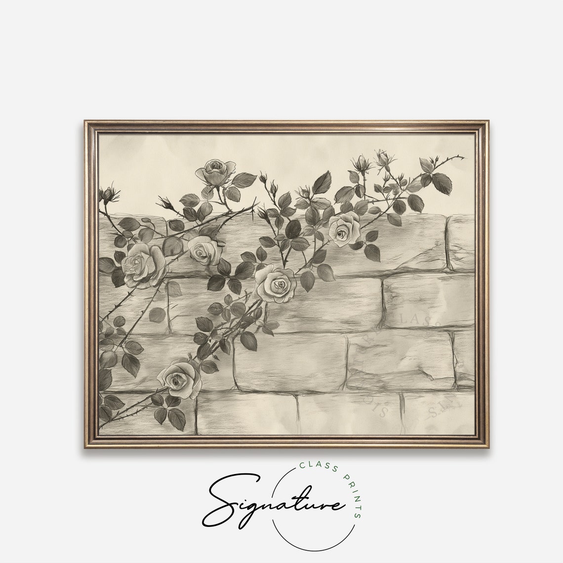 Climbing Roses on Brick Wall Pencil Sketch Vintage Botanical Poster - Image 4
