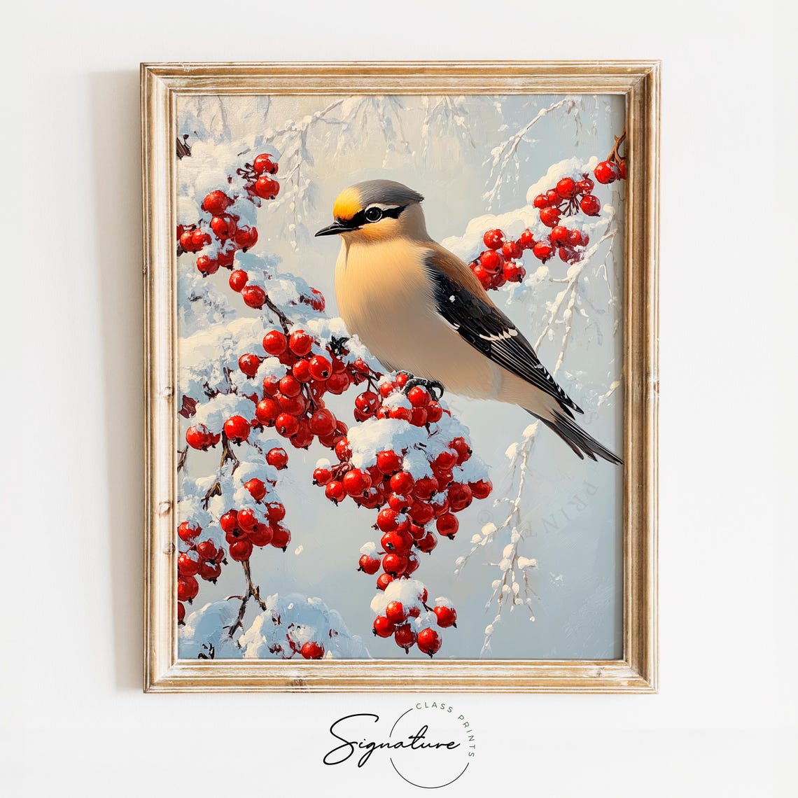 Bohemian Waxwing Resting On Snowy Branch With Red Berries Art Poster