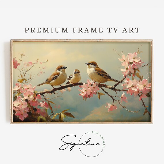 Sparrow Family On Pink Blossoming Branch Spring Nature Poster