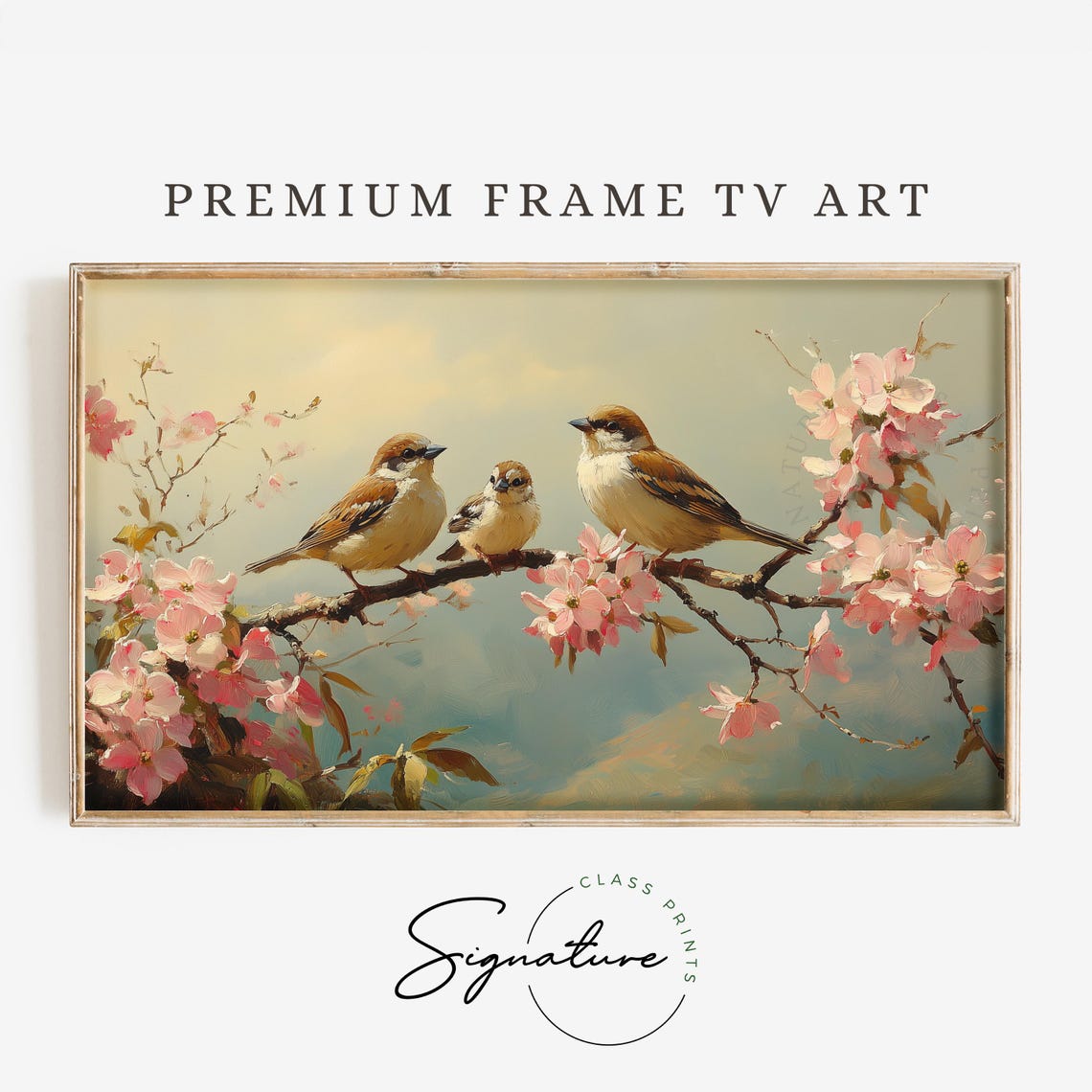Sparrow Family On Pink Blossoming Branch Spring Nature Poster