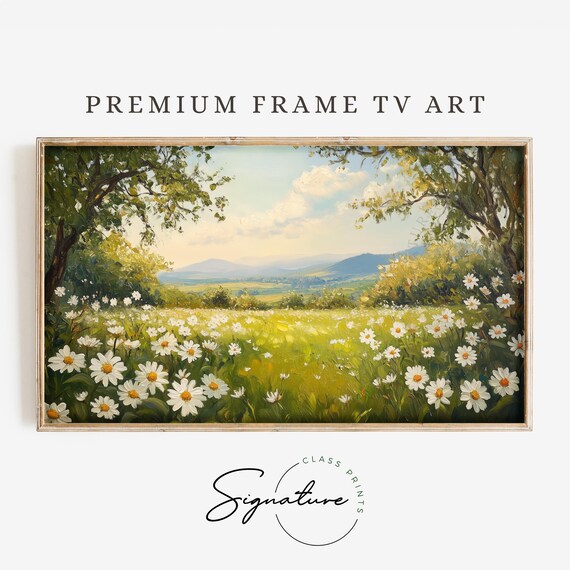 Spring Meadow White Daisies Blooming Field Sunny Floral Landscape Poster