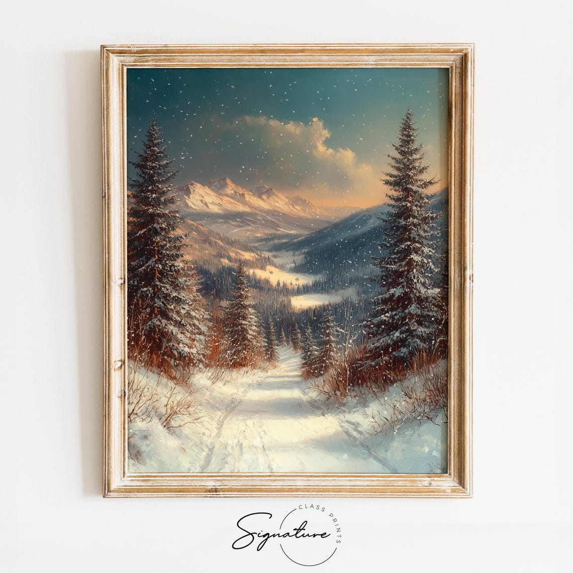 Snow Covered Mountain Valley Framed By Tall Pine Trees Poster