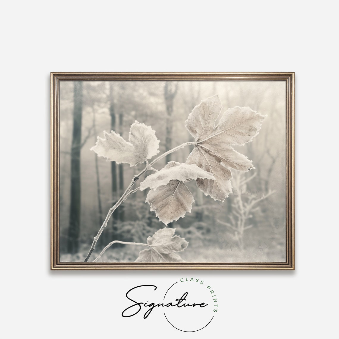 Frosted Leaves Branch in Misty Forest Neutral Winter Art Poster - Image 4