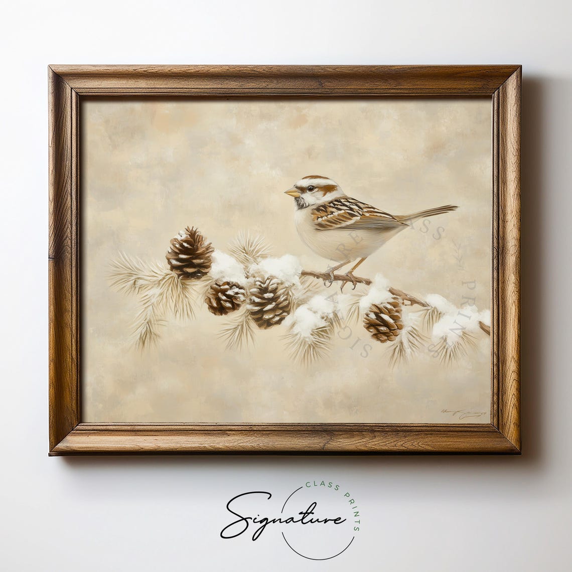 White Crowned Sparrow Perched On Snowy Pine Branch Winter Print - Image 5