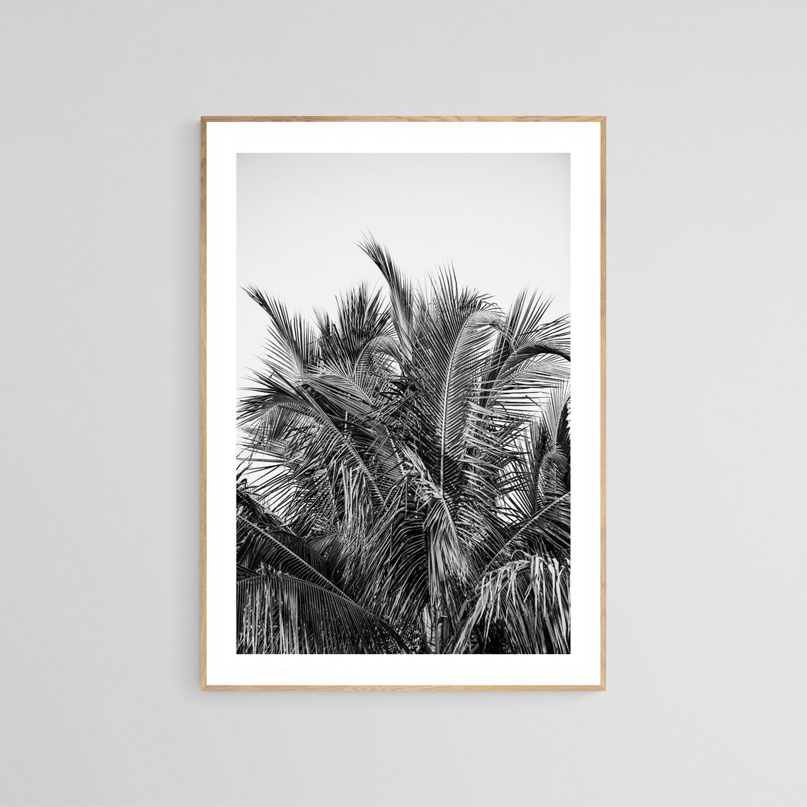 Black And White Palm Tree Photo, Tropical Art