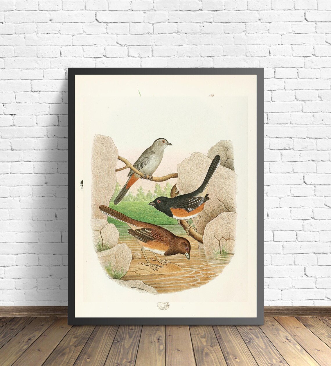 Catbird and Towhee Songbirds at the Stream Vintage Art Poster - Image 2