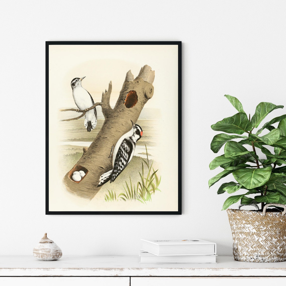 Downy Woodpecker Pair at the Tree Cavity Vintage Bird Art Poster - Image 3