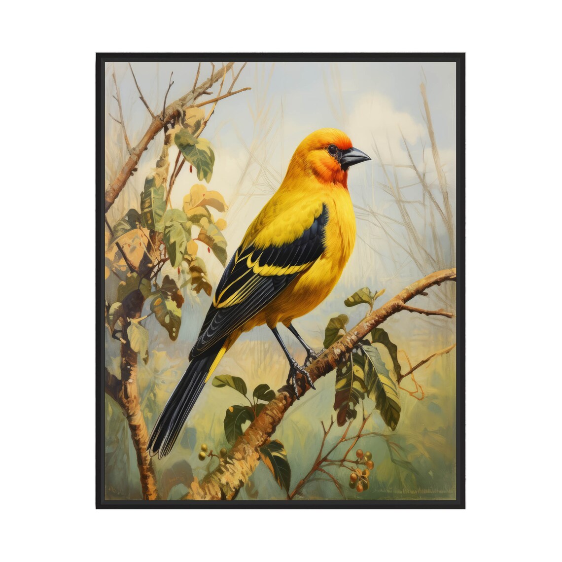 Eurasian Golden Oriole Perched Branch Poster Vintage Bird Painting Art