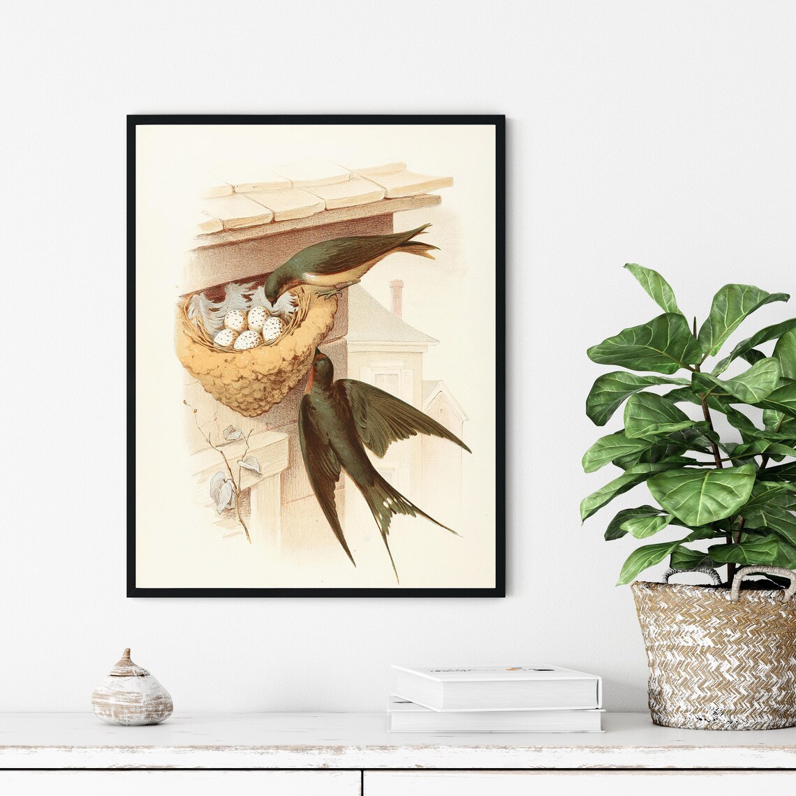 Barn Swallows 1882 Vintage Bird Illustration Nest Decor Poster - Image 3