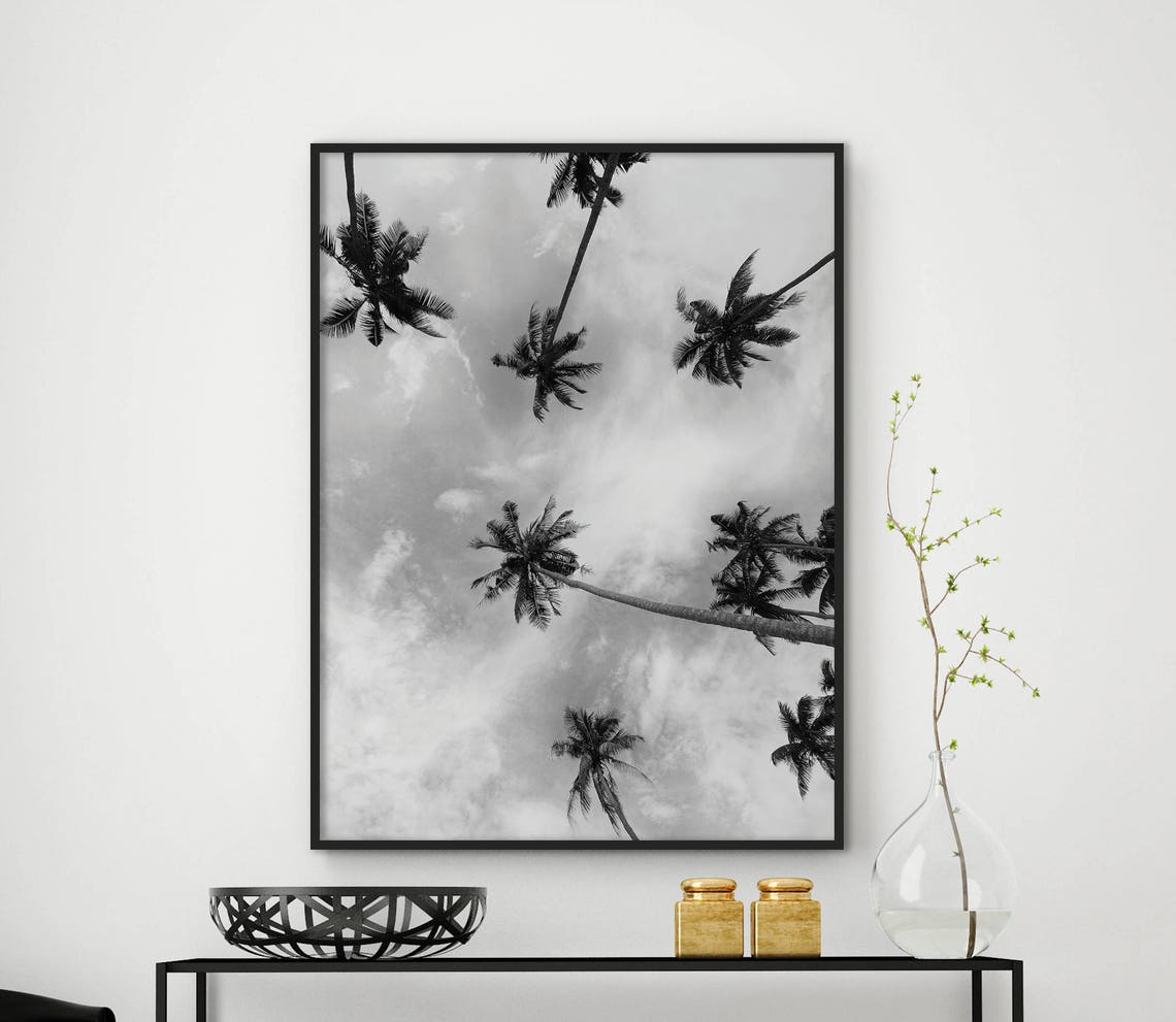 Palm Trees Black And White Tropical Canopy Nature Sky Photo Wall Art