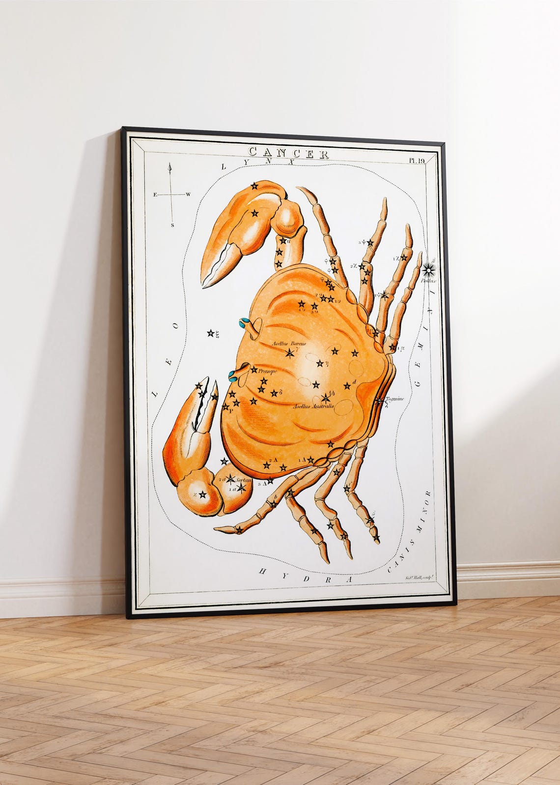 Cancer Zodiac Constellation Crab Vintage Celestial Star Chart Print - Image 3