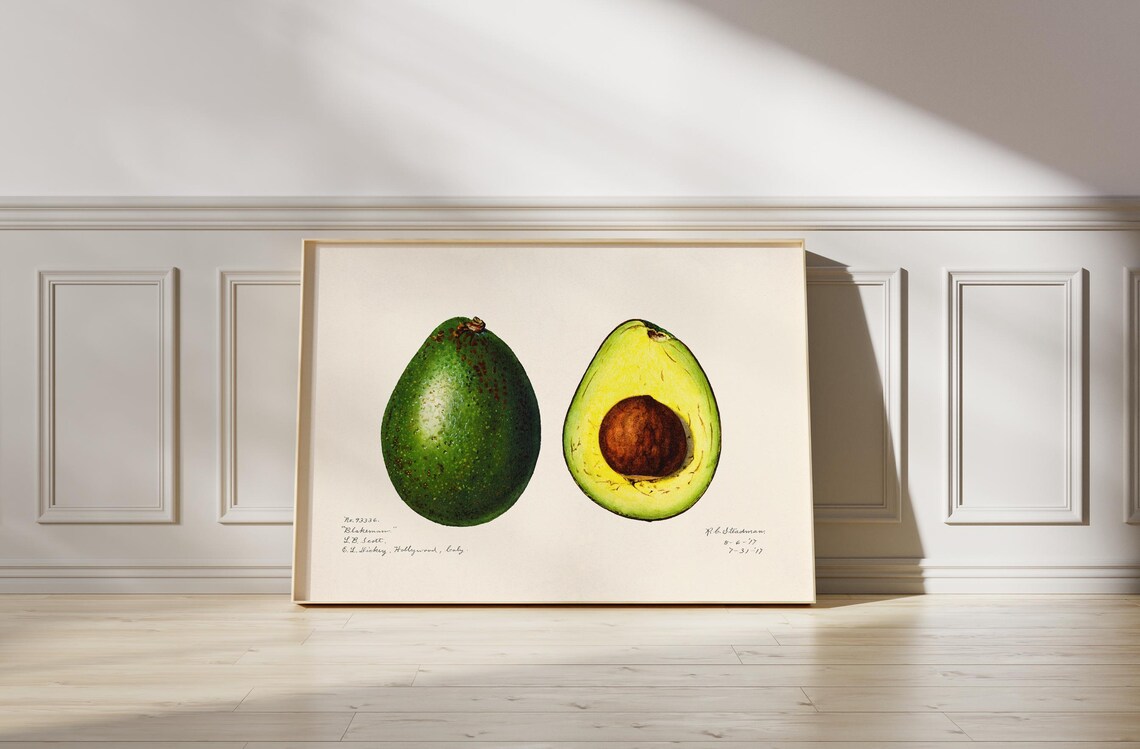 Avocado Minimalist Kitchen Art Print, Modern Poster - Image 4