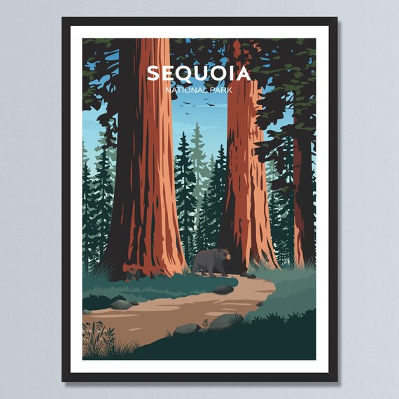 Sequoia National Park Giant Trees Black Bear Retro Nature Travel Poster