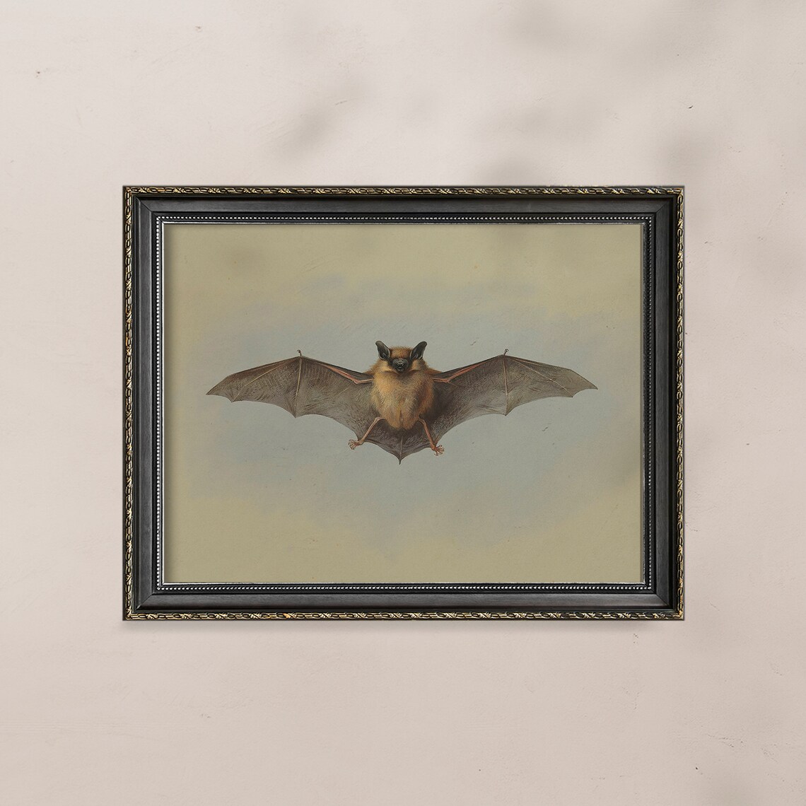 Antique Bat Painting Vintage Flying Bat Halloween Art Poster