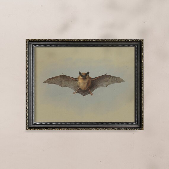 Antique Bat Painting Vintage Flying Bat Halloween Art Poster